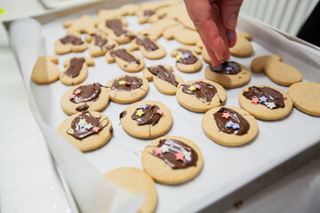 Homemade, freshly baked gingerbread cookies in various shapes
