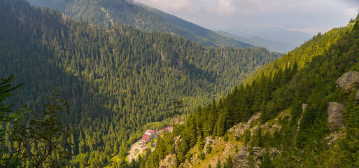 mountain landscape with green grass and mountains