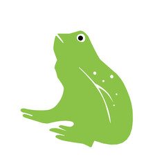frog green vector