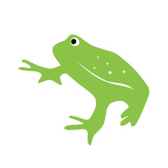 frog green vector