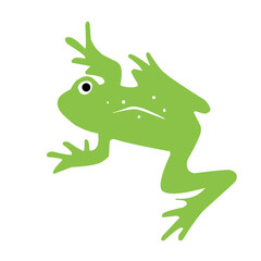 frog green vector