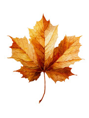 Fototapeta premium Watercolor a single golden maple leaf, isolated on transparent background, showcasing autumn colors and intricate vein detail