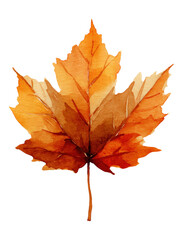 Obraz premium Watercolor a vibrant orange and red maple leaf in autumn colors, isolated on transparent background