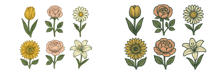 Elegant botanical collection of blooming garden flowers in a classic engraved style featuring tulips roses daisies sunflowers peonies and lilies © icon_art