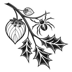 Black and white illustration of a spider on a branch with holly leaves and berries vector
