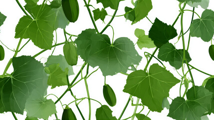 Green ivy leaves on white background, climbing plant vines with foliage, natural botanical pattern, fresh garden vegetation, organic leafy wallpaper design
