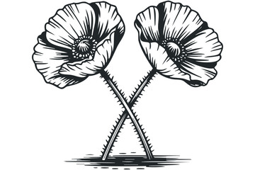 Obraz premium Monochromatic stylized poppy flowers with thorny stems on transparent background. Vector hand drawn illustration