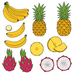 Tropical Fruits: Bananas, Pineapples, and Dragon Fruit Illustration