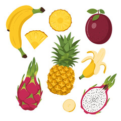Tropical Fruit Collection: Bananas, Pineapple, Dragon Fruit, Passion Fruit - Flat Vector Illustration