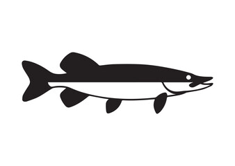 Fish pike line art vector