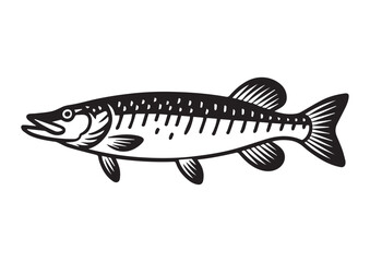 Fish pike line art vector