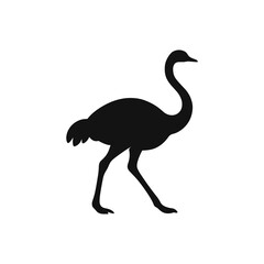 Walking Ostrich Silhouette Minimal Vector