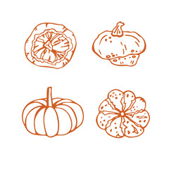 Elegant vector linear pumpkin set with various round pumpkins. Design elements for menu, healthy food, cooking book, colouring, autumn harvest, Halloween, Thanksgiving. Hand-drawn in doodle style.