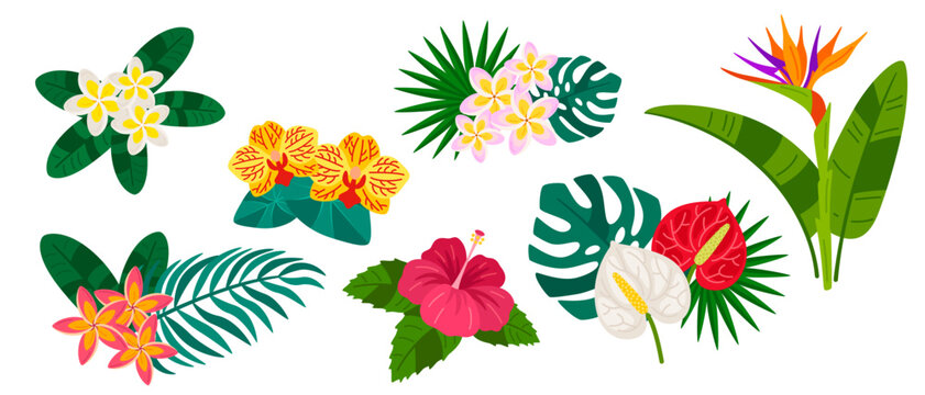 Tropical flowers with palm leaves flat icon set isolated on white background. Exotic plant, hibiscus jungle pattern. Tropic strelitzia, plumeria leaf, anthurium logo. Hawaiian poster flyer elements