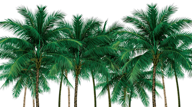 Lush Tropical Palm Tree Grove - Seamless Illustration