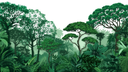 Lush Tropical Rainforest Panorama Green Canopy Background