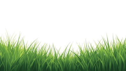 Obraz premium Lush Green Grass Border, Nature Background, Spring Meadow
