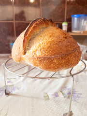 Freshly baked sourdough bread cooling on a wire rack in a kitchen setting. The bread has a golden crust and a round shape.