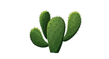 cactus on white background