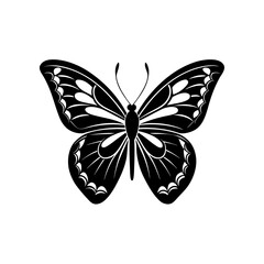 butterfly silhouette vector
