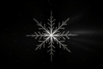 Fototapeta premium Sliver snowflake light night black.