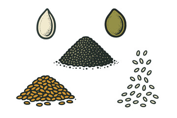 Collection of various healthy seeds including pumpkin, poppy, and flax for cooking, baking, and nutritional benefits