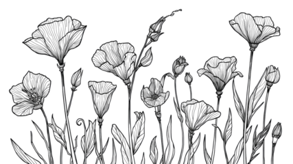 Dark Floral Line Art with Glittering Texture Elegant Botanical Illustration