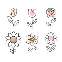 Set of flowers and leaves 