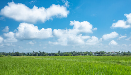 Green meadows with blue sky and white clouds background.