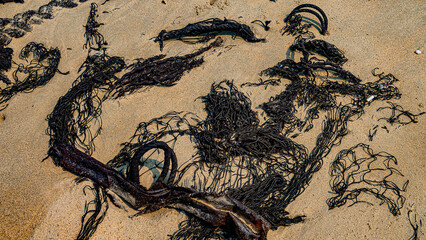 Oil pollution of sea, coast. Floating objects (flotsam, fragments of fishing nets) are covered with fuel oil and bring toxin to other parts of sea, secondary pollution. South China Sea