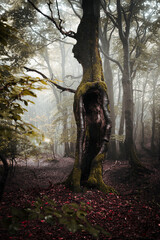 Fototapety na wymiar - Fototapeta24.pl