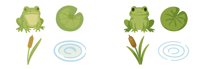 Two green frogs with lily pads and cattails on white