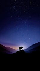 Bear silhouette at night mountains