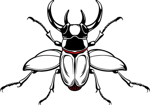 Illustration of the rhinoceros beetle, or scientifically known as Oryctes rhinoceros, is an insect that is interesting and attracts the attention of farmers.
