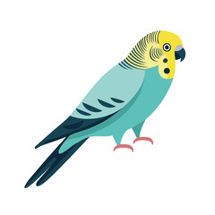 Obraz premium Illustration of a colorful parakeet or budgie on white background.