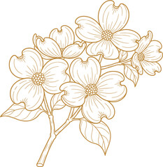 Dogwood Blossoms: Delicate Floral Sketch