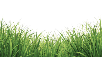 Obraz premium Lush Green Grass Border, Nature Background, Isolated on Black