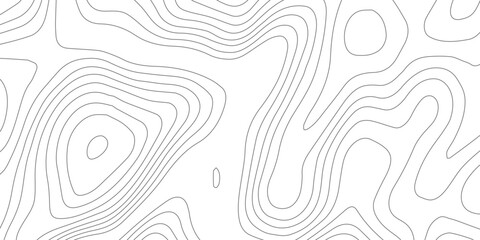 Modern White Topographic Line Background – Clean Minimal Geometric Contour Map Texture for Elegant Abstract Projects
