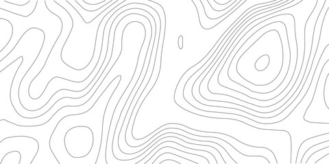 Modern White Topographic Line Background – Clean Minimal Geometric Contour Map Texture for Elegant Abstract Projects