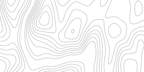 Minimal Contour Elevation Map Texture - Topographic White Line Background for Presentations, Infographics, and Web Templates