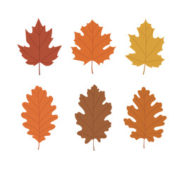 Colorful autumn leaves set. flat vector illustration of maple and oak leaves in fall colors. Perfect for seasonal designs, decorations, or nature-themed projects.