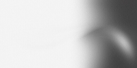 A soft, grainy gradient transitions from bright white on the left to dark gray on the right, creating a subtle, abstract background