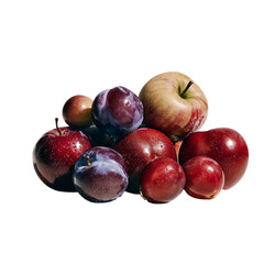 Fresh ripe apples and plums grouped together still life for healthy eating isolated on transparent background