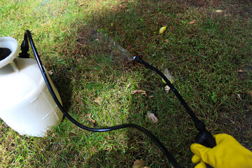 a person wearing yellow gloves using a pump sprayer with a lawn and weeds background