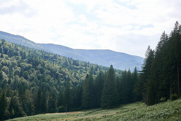 nature landscape forest sky mountains Ukrainian Carpathians