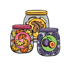 dried fruits ginger plums oranges vector illustration