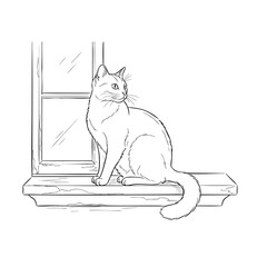 A handdrawn line art illustration of a domestic cat sitting on a windowsill.