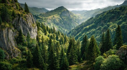 Verdant mountainside view; rolling hills with forest cover create a rich green texture under a cloudy sky