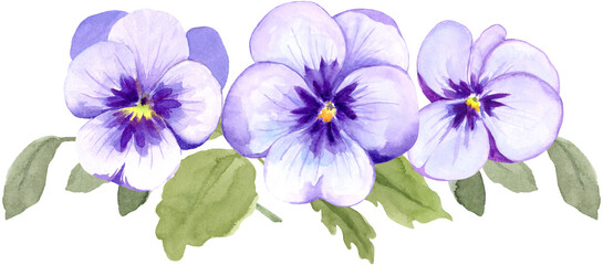 3 Purple Pansies Border Watercolor Illustration on Isolated Background Clipart Hand Drawn and Painted