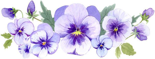 Purple Pansies Border Watercolor Illustration on Isolated Background Clipart Hand Drawn and Painted